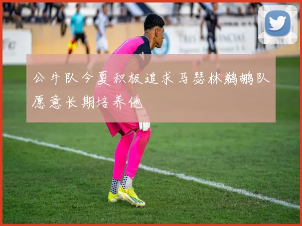 公牛队今夏积极追求马瑟林鹈鹕队愿意长期培养他